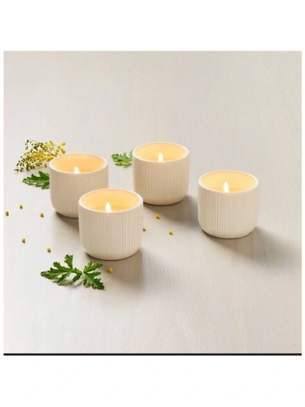 Hearth And Hand Magnolia 4 Pack Citronella Outdoor Candles Palm Blend NEW IN BOX